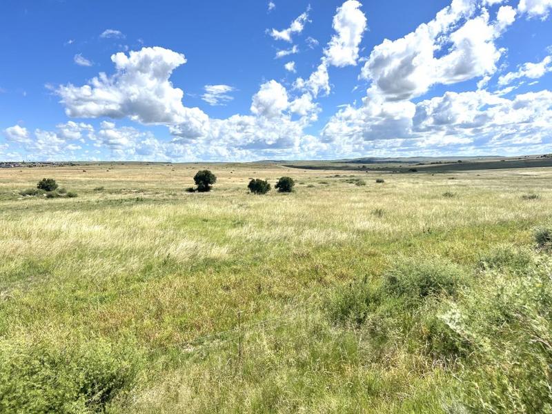 0 Bedroom Property for Sale in Lindley Free State